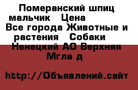 Померанский шпиц мальчик › Цена ­ 30 000 - Все города Животные и растения » Собаки   . Ненецкий АО,Верхняя Мгла д.